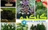 اموزش نگهداری و فروش گیاهان آپاتمانی وکاکتوس سم وکود وگلدان و خاک