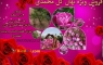 فروش انواع محصولات و فراورده های صادراتی گل محمدی