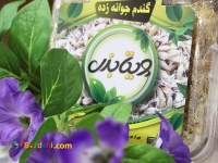 جوانه های خوراکی ویتابذر