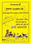پت شاپ آوا