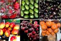 درخواست تامین میوه و صیفی جات کشاورزان و باغداران