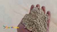 تولیدکننده گوگرد به صورت گرانول و پودری