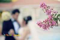 تصویربرداری حرفه ای مراسم عروسی عقد تولد کلیپ تیزر