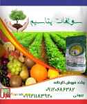 کود سولفات پتاسیم