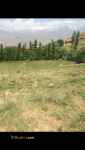 فروش زمین زراعی