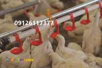 آبخوری نیپل پرنده