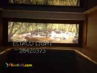 سقفهای کشسان