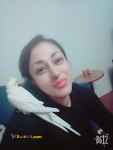 از سگ و گربه شما در منزلتان نگهداری میکنم
