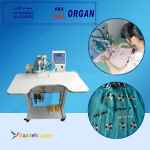 فروش دستگاه نگین زن دو مخزنه اورگان