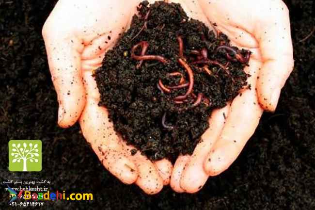 کود ارگانیک ورمی کمپوست و کرم خاکی