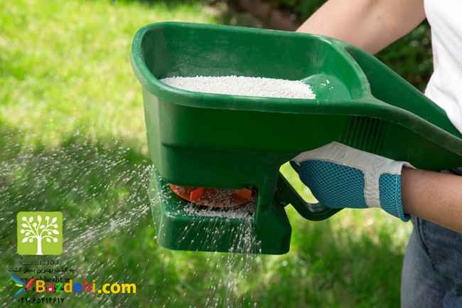 فروش انواع کودهای شیمیایی ، نانو و NPK ، کود دامی ، سم ، بذر ، نه