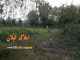 فروش زمین 4000 متری سنددار لاهیجان