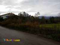 فروش زمین 7 هزار متری بر آسفالت رانکوه