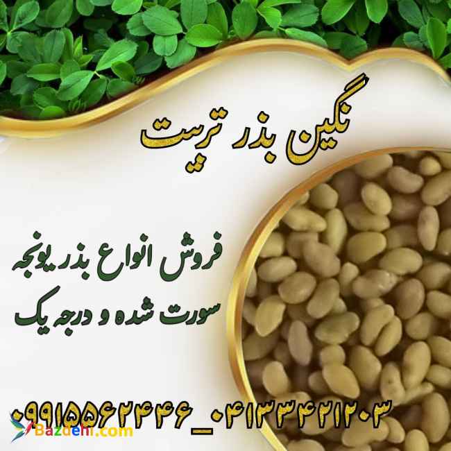 بهترین قیمت فروش بذر یونجه درجه یک در بازار