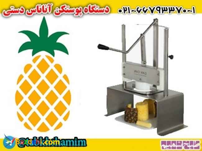 دستگاهپوستکناناناس