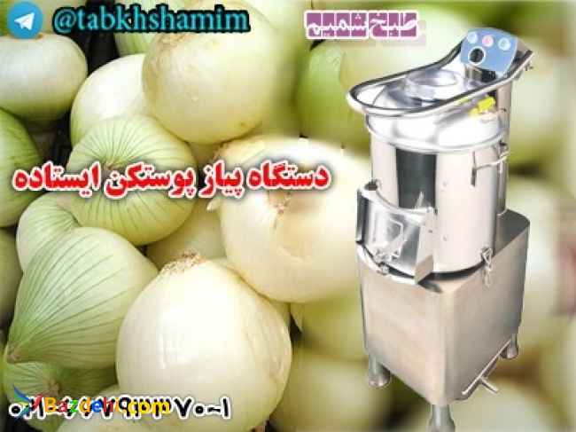 دستگاهپوستکنپیازایستاده