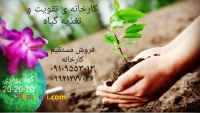 انواع کود NPK