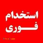 جذب نیرو در فست فود
