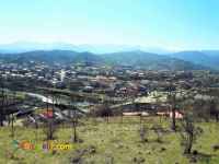 فروش 6000 متر زمین مسکونی جنگلی در گیلان