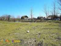 فروش زمین باغ 12 هزار متری کیاشهر