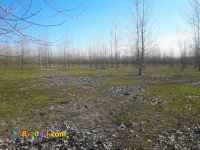 فروش زمین  باغ صنوبر 80000 متری لشت نشاء