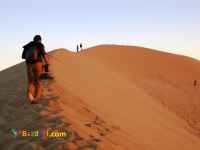 تور یکروزه کویرگردی