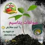 کود سولفات پتاسیم