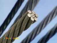 سیم بکسل حفاری22و24