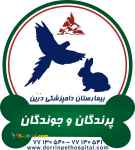 کلینیک پرندگان و جوندگان بیمارستان دامپزشکی شبانه روزی  درین