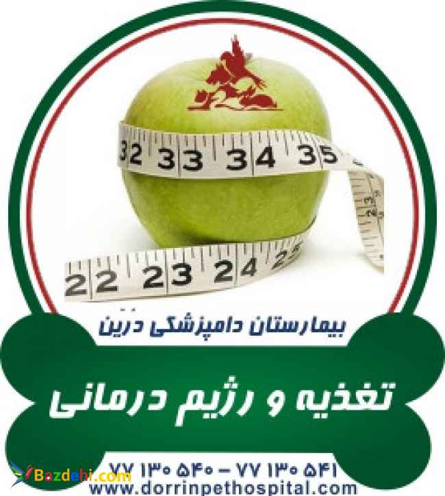 کلینیک تغذیه و رژیم درمانی حیوانات خانگی بیمارستان دامپزشکی درین 