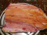 فروش ماهی سالمون