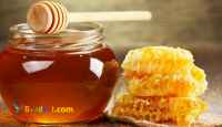 فروش ویژه عسل 