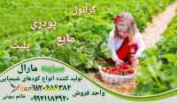 کودهای شیمیایی