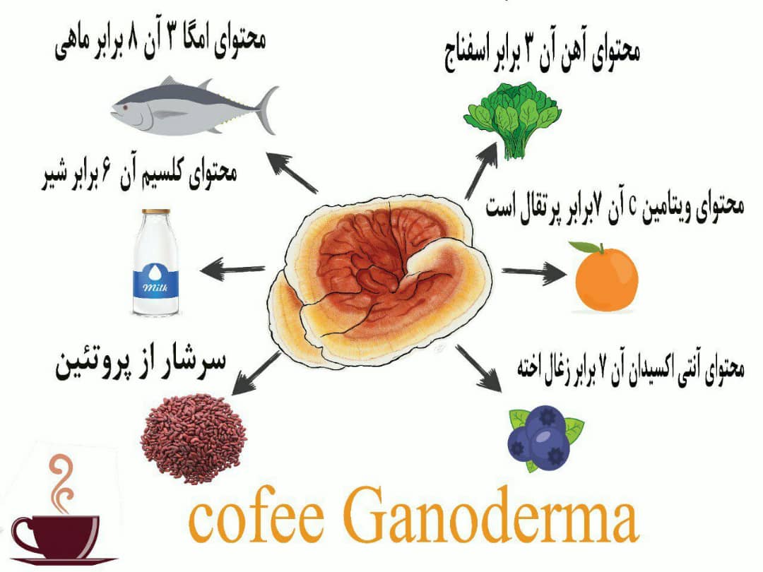 مرکز مشاوره تخصصی و فروش تمامی محصولات قارچ گانودرما  اصل در تهران | قهوه گانودرما | پودر قارچ گانودرما | قرص  گانودرما | کپسول گانودرما | قارچ گانودرما