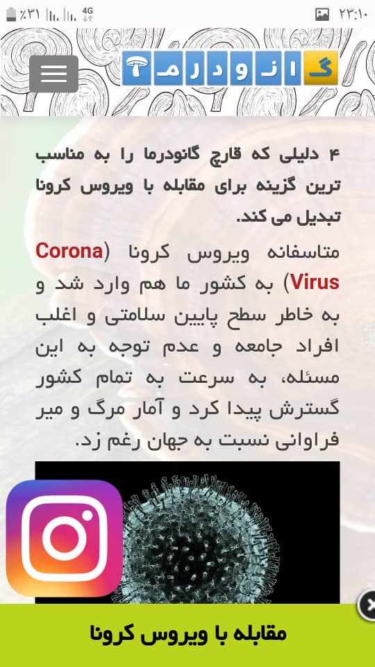 مرکز مشاوره تخصصی و فروش تمامی محصولات قارچ گانودرما  اصل در تهران | قهوه گانودرما | پودر قارچ گانودرما | قرص  گانودرما | کپسول گانودرما | قارچ گانودرما